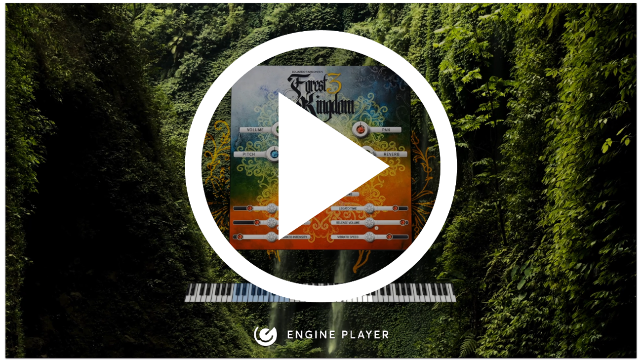 Forest Kingdom 3 Video Banner