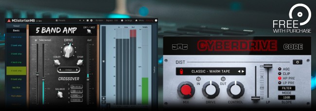 Free with Purchase Promotion