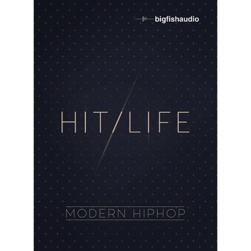 Hit Life: Modern Hip Hop