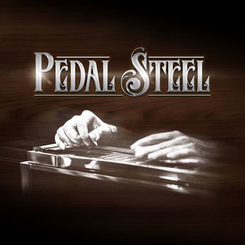 Pedal Steel ISW