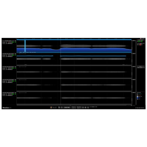 Revoice Pro 5