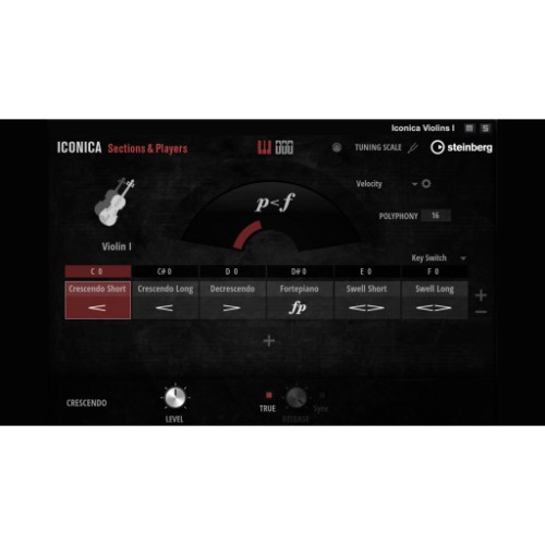 Iconica Sections & Players