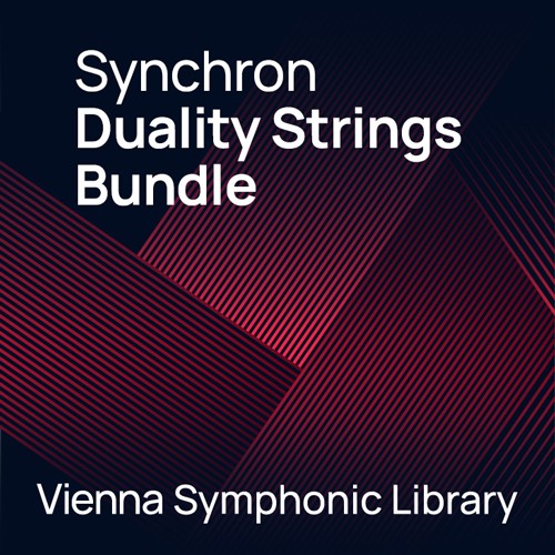 Synchron Duality Strings Bundle