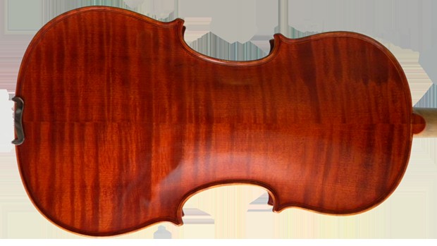 violin back