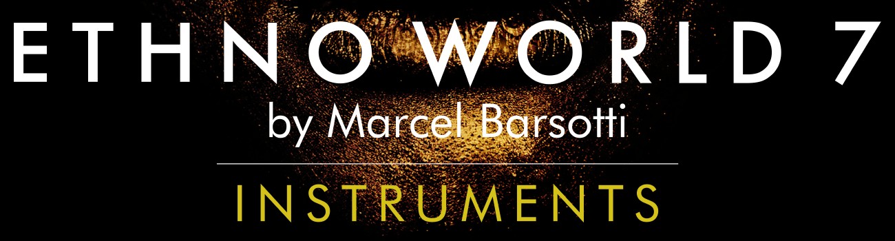 Ethno World 7 Instruments Banner